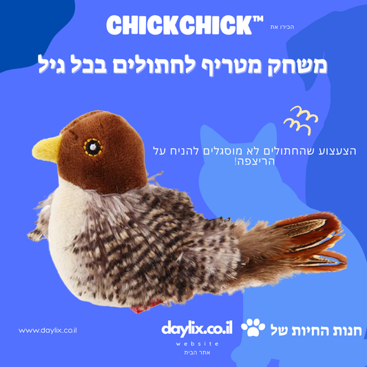 ChickChick™ - משחק מטריף לחתולים בכל גיל